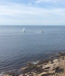 PoH Image, R-port.jpg